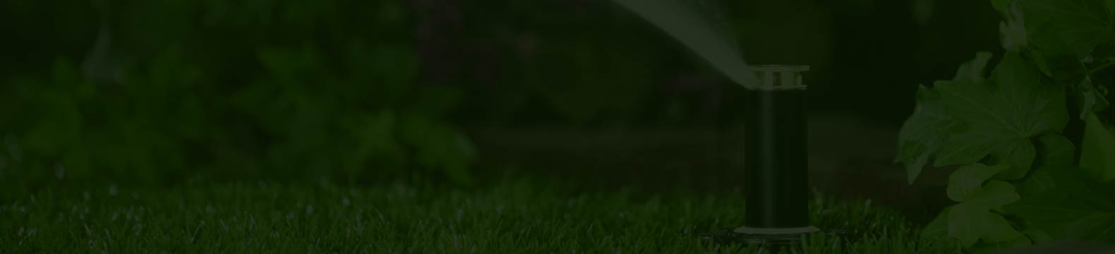 top-banner